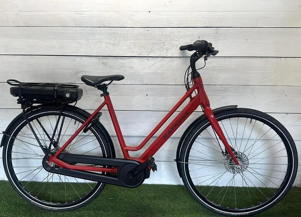 BATAVUS picture