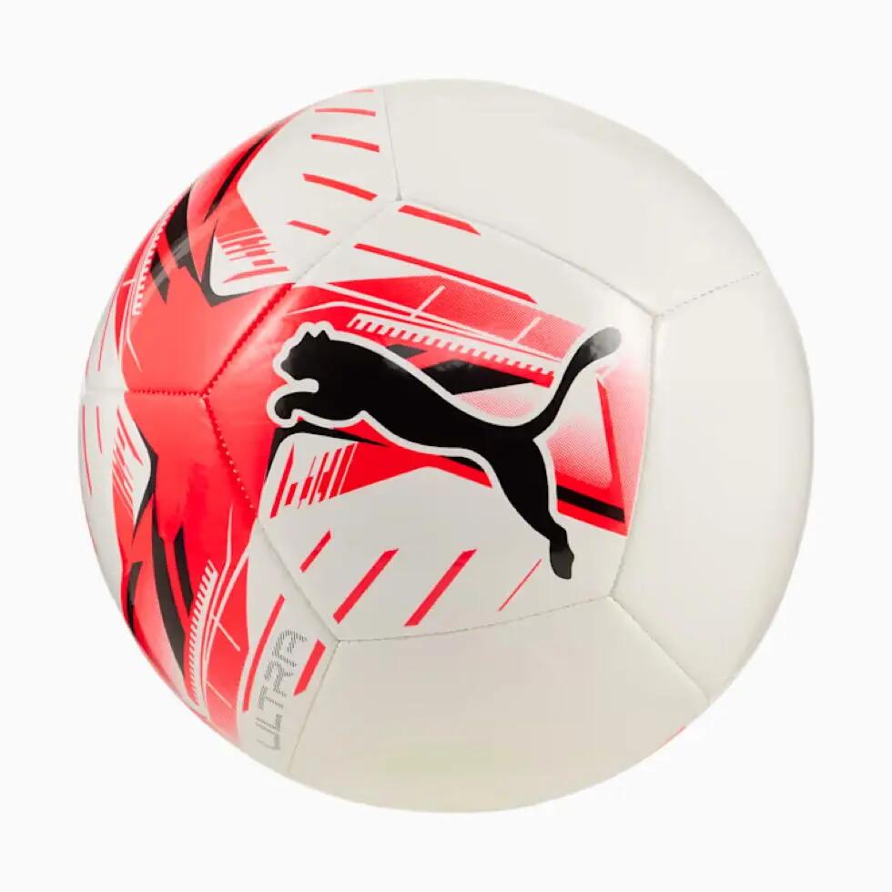 PUMA picture