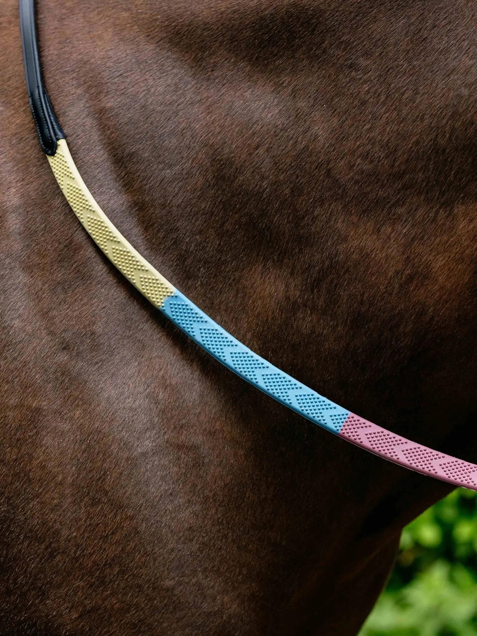 Rênes pour cheval LeMieux 4/6