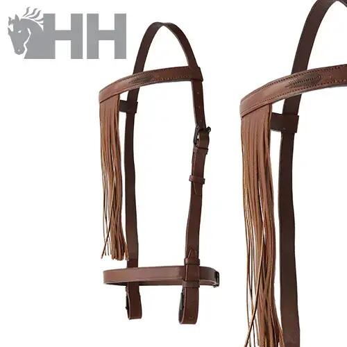 HISPANO HIPICA picture