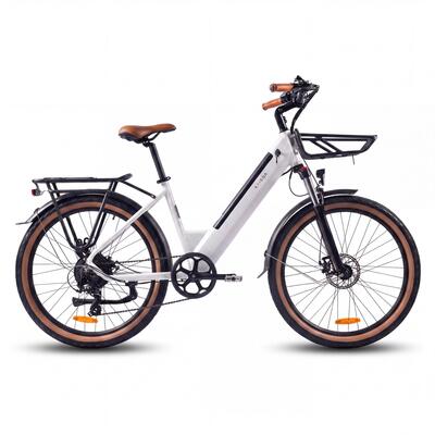 Volwassen e-bike kaisda k601 250w 36v 16ah 26 inch band