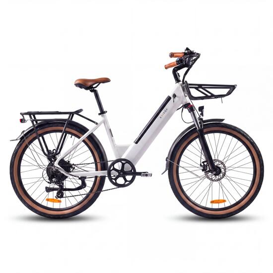 Volwassen E-Bike KAISDA K601 250W 36V 16Ah 26 inch band