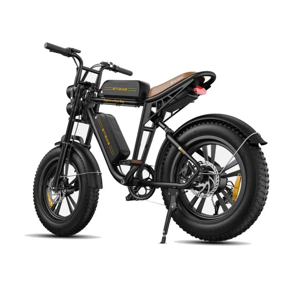 M20 Electric Bicycle 20" Tires 48V 13AH Dual Batteries Urban Commuting 3/3