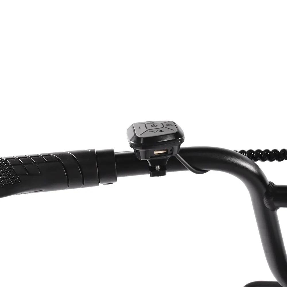 KAISDA K201, široká pneumatika, nízký rám, 250W, 20.8Ah, 40N・m, 150kg 5/11