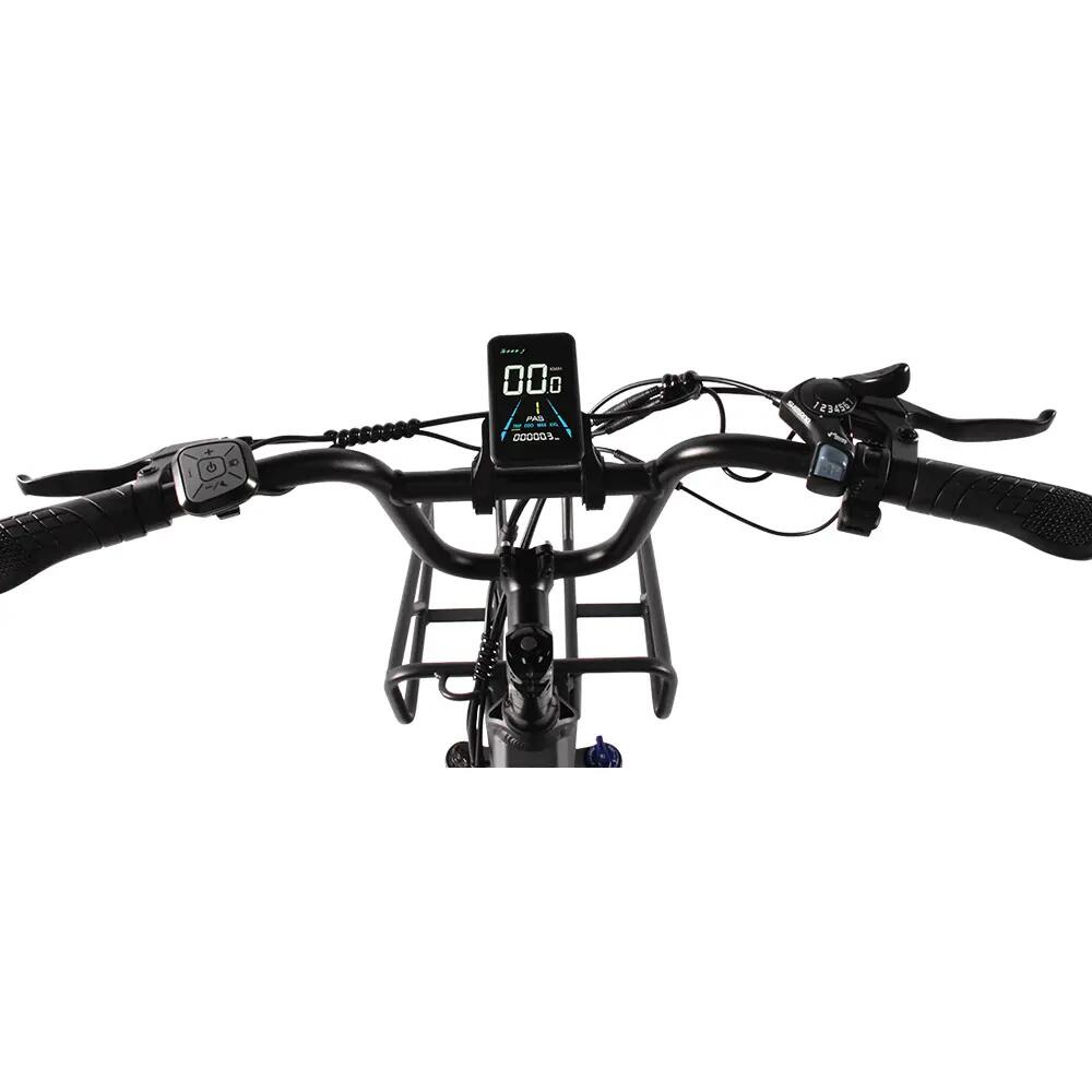 KAISDA K201, široká pneumatika, nízký rám, 250W, 20.8Ah, 40N・m, 150kg 10/14