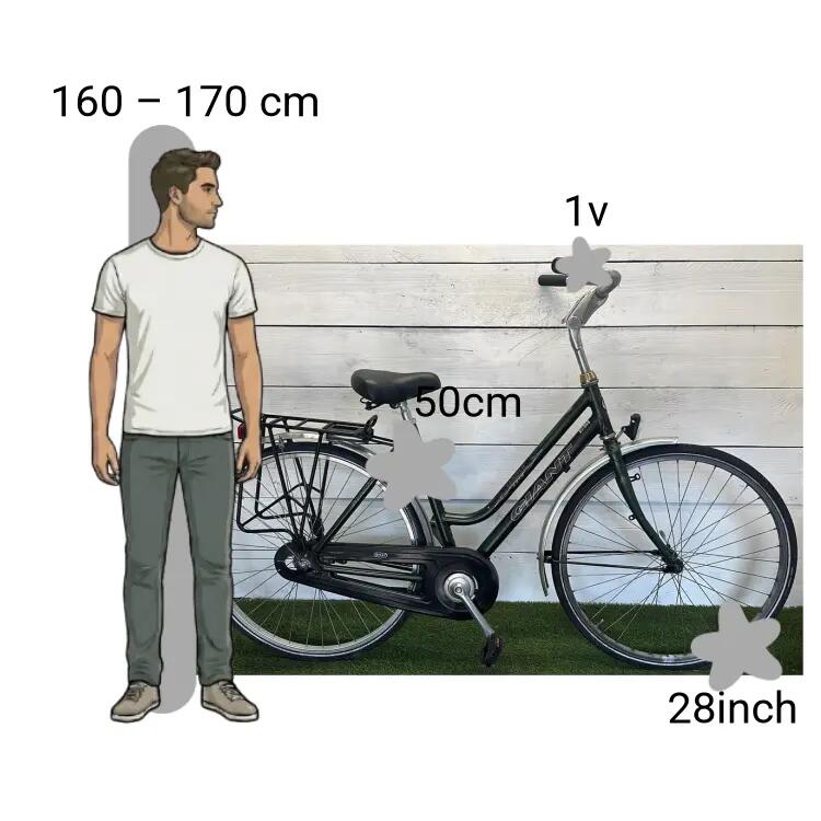 Bicicleta usada Giant Leader 2/4