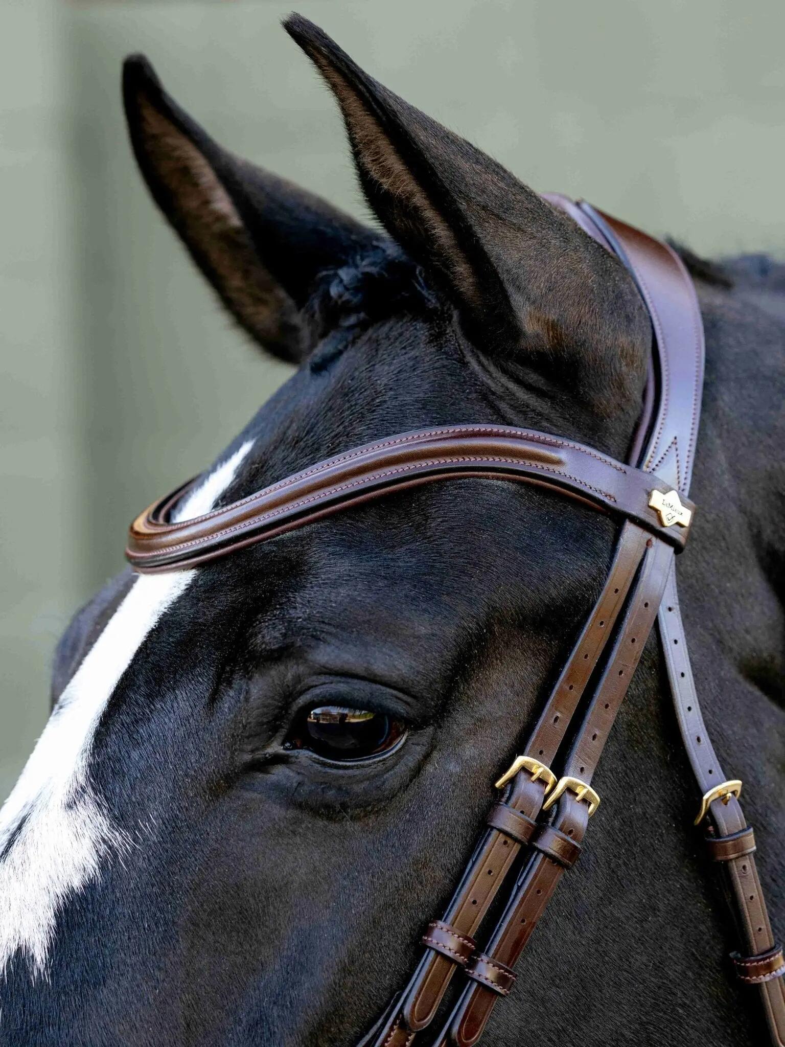 Bridons équitation pour cheval LeMieux Kudos 3/6