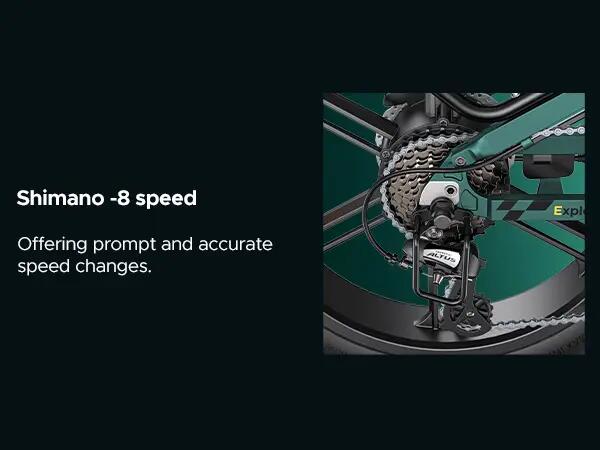 ENGWE ENGINE PRO 2.0 Elektrische Fiets 3/9