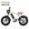 Bicicletă electrică ENGWE M20 (versiune cu o singură baterie)