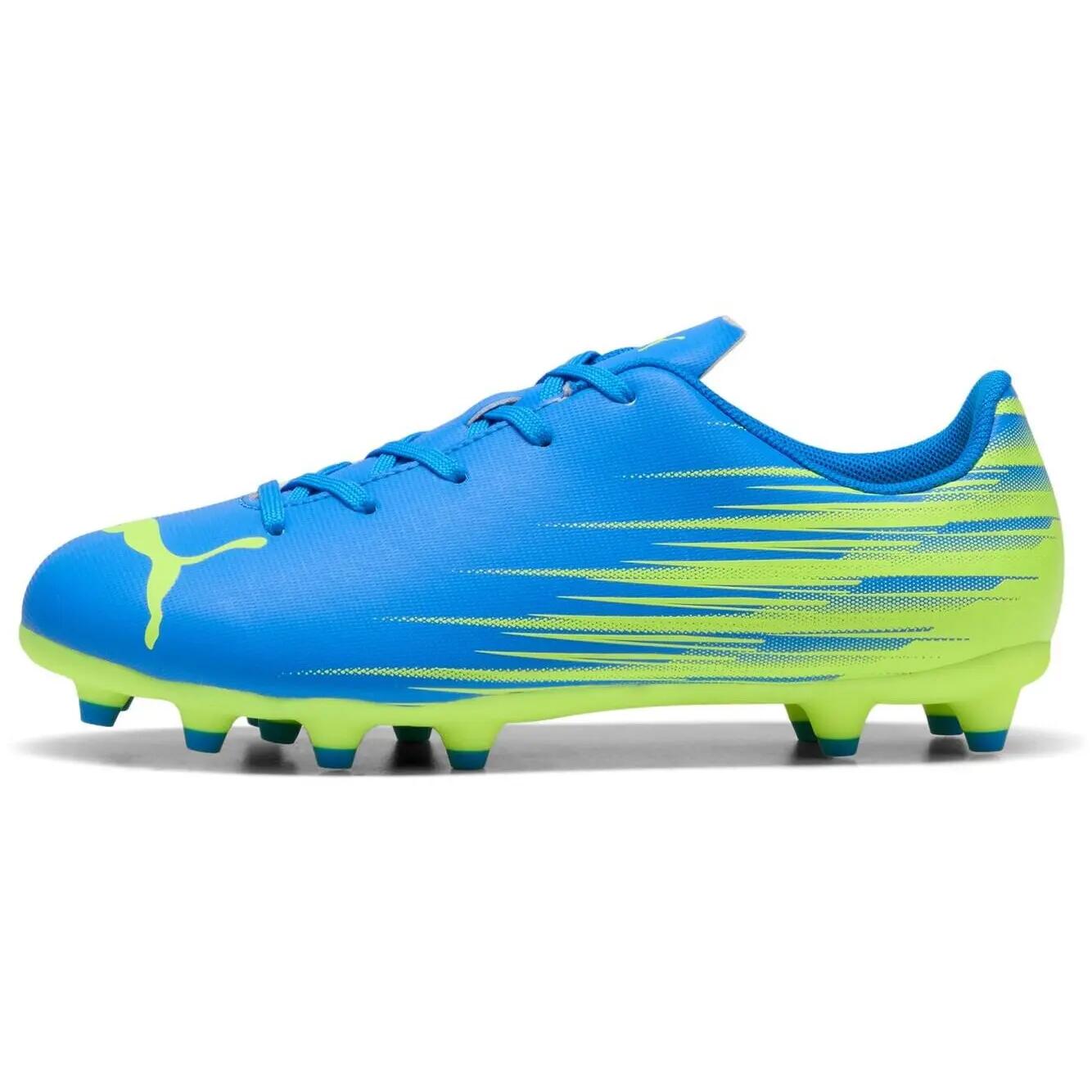 PUMA picture