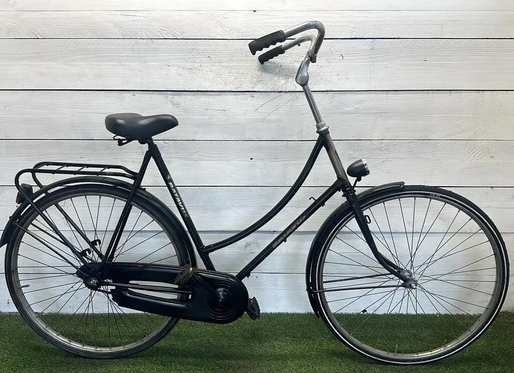 BATAVUS picture