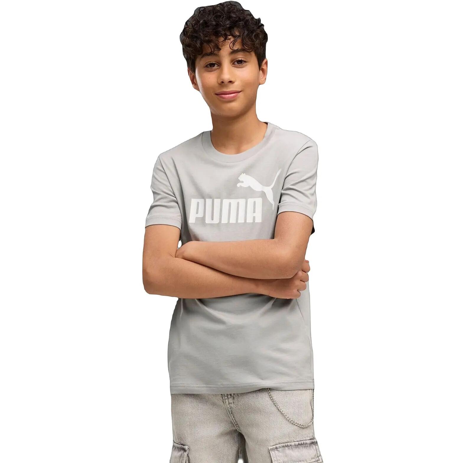 PUMA picture