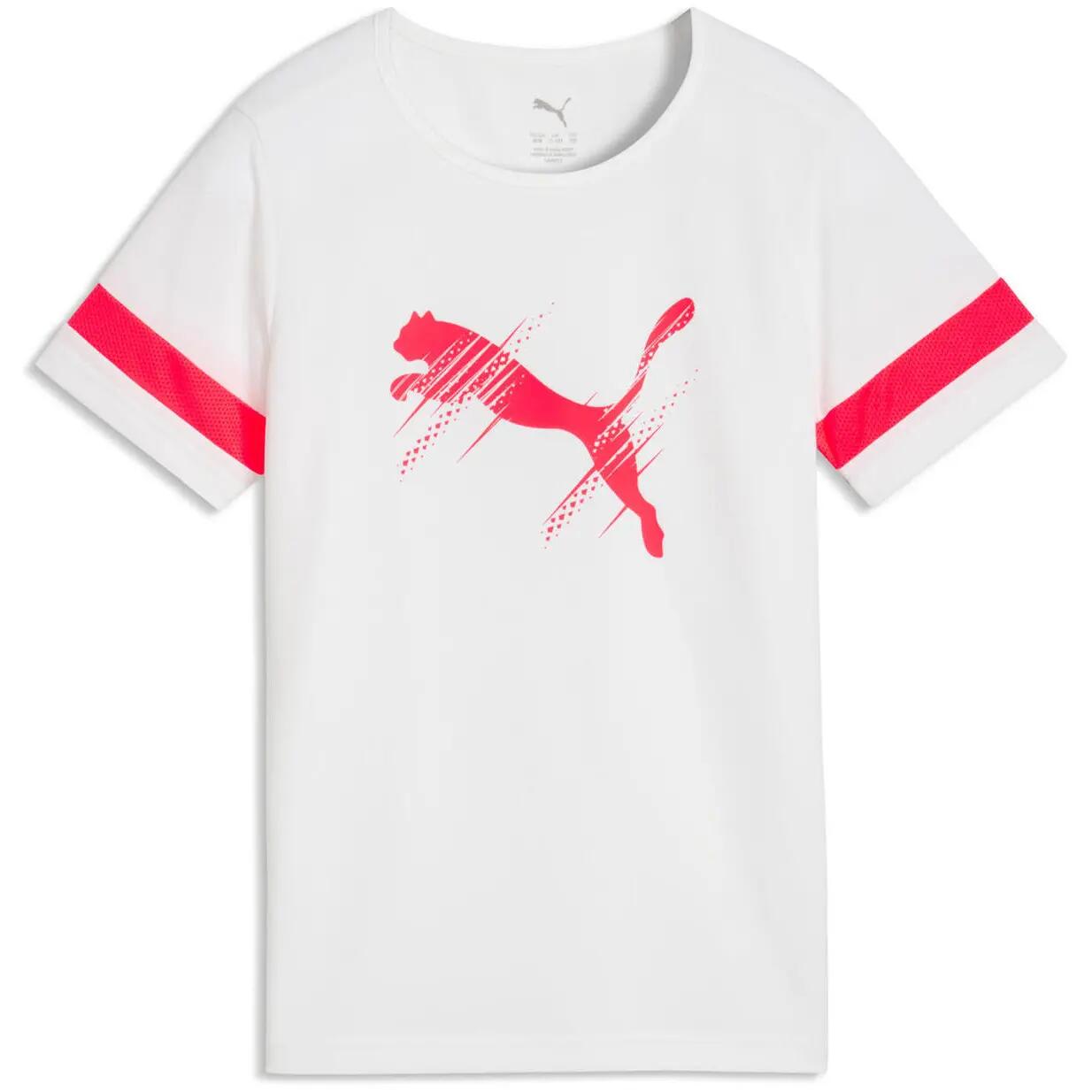 PUMA picture