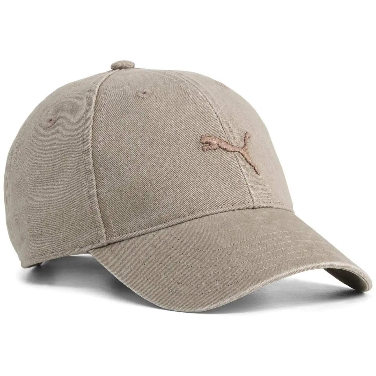 PUMA picture