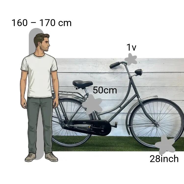 Bicicleta usada BSP Royal Class 2/4
