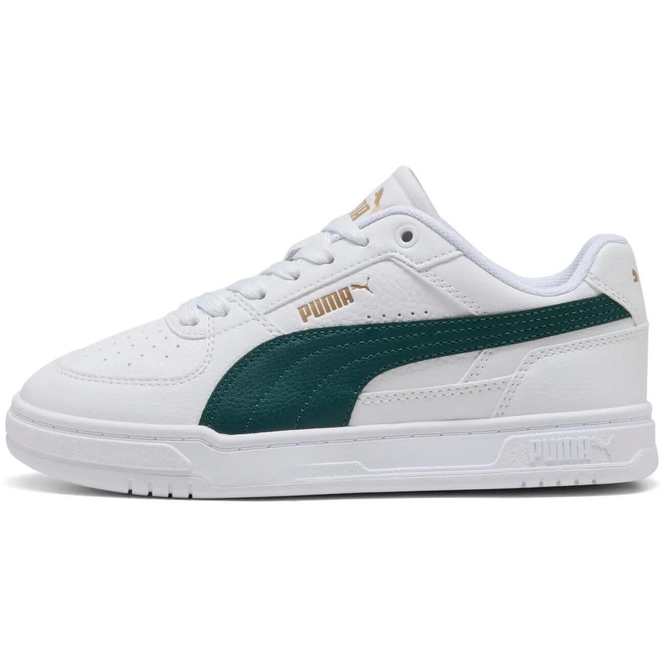 PUMA picture