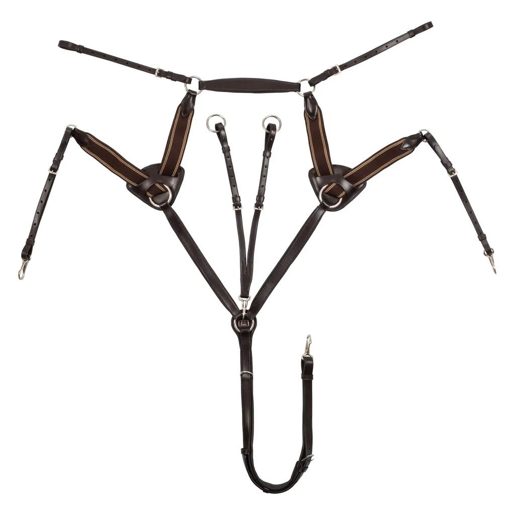 Five-point hunting chest harness