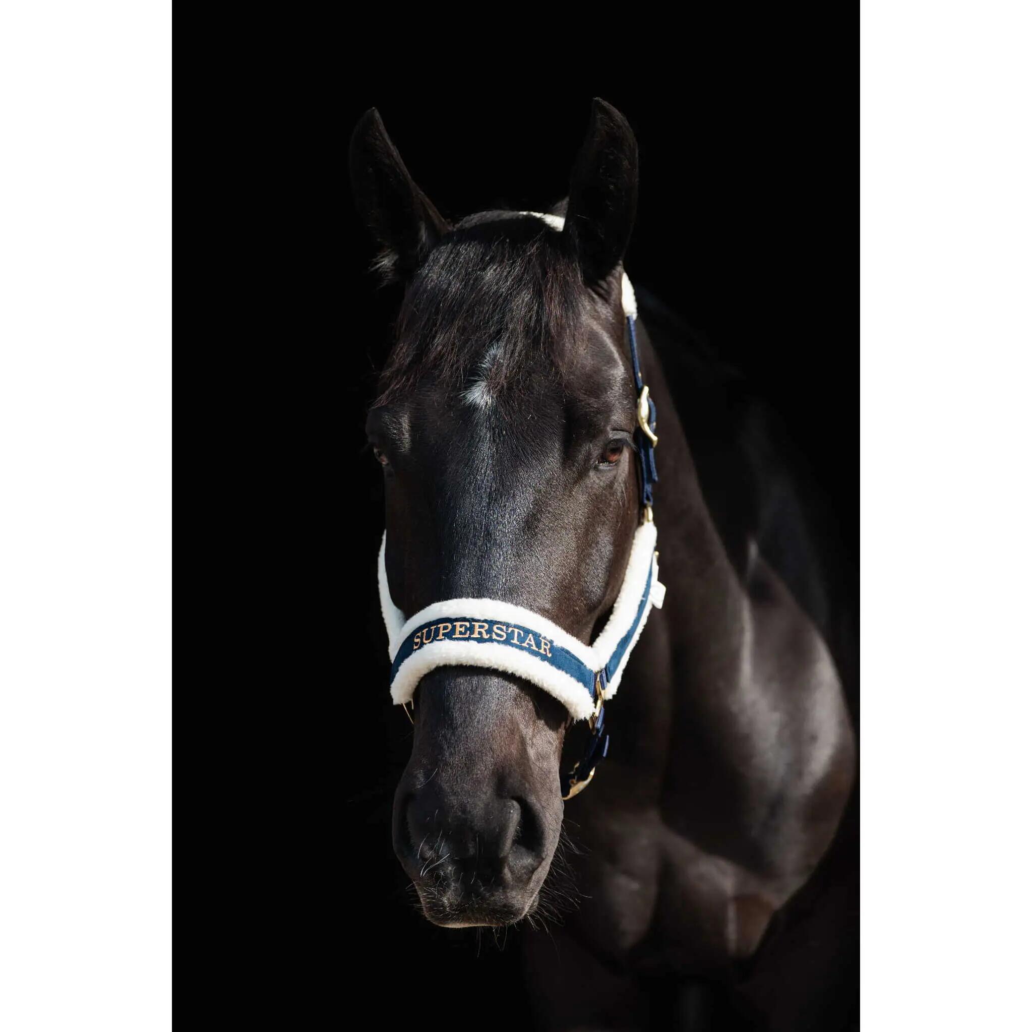 Licol pour cheval en fourrure JD Attack Halter Superstar 2/4