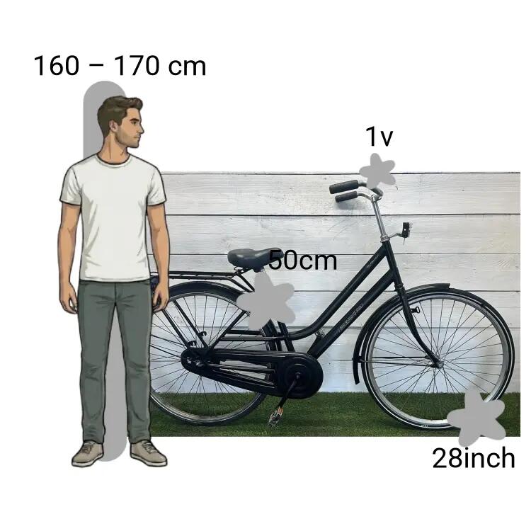 Bicicleta usada BSP Rental 2/4
