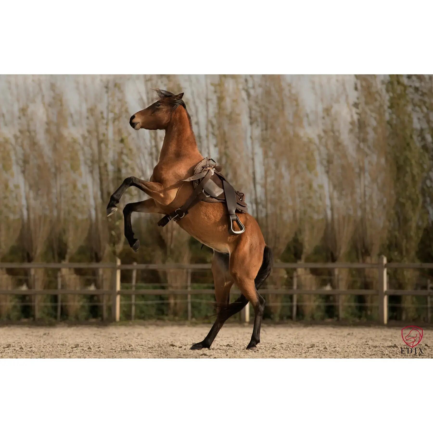 Tapis de monte à cru pour cheval Edix Saddles Broncho BBP 3/5