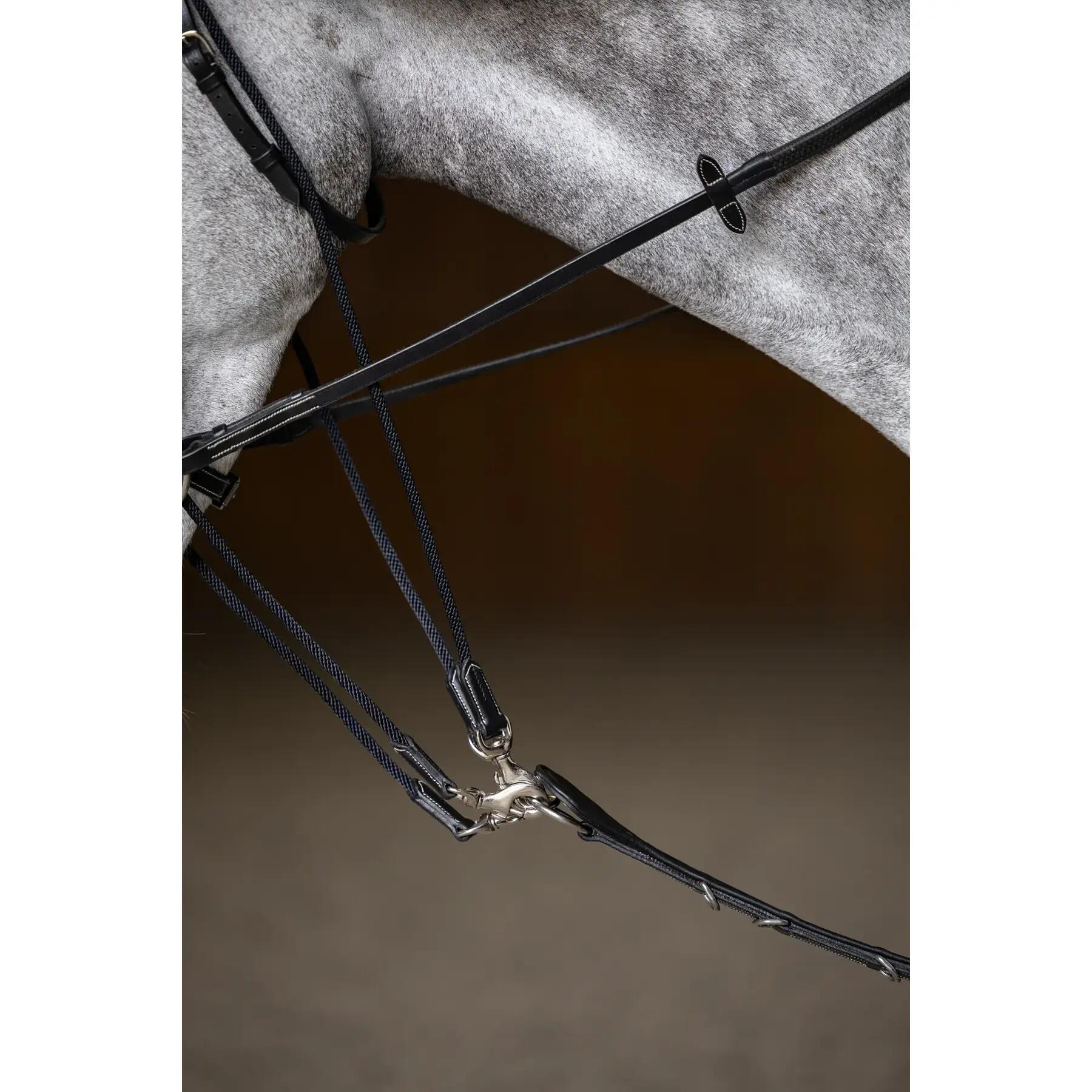 Gogue voor paard HFI 4/7