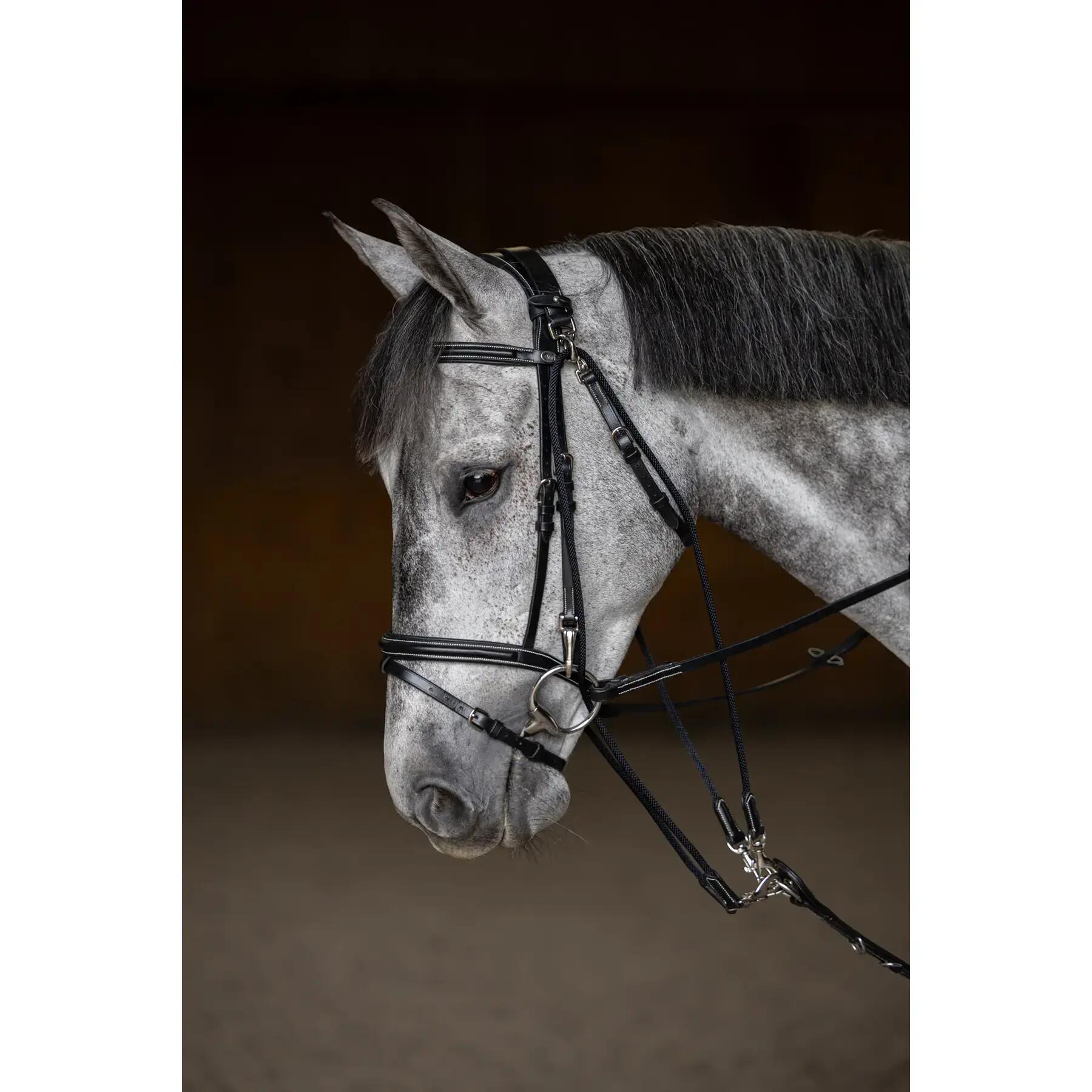 Gogue voor paard HFI 3/7