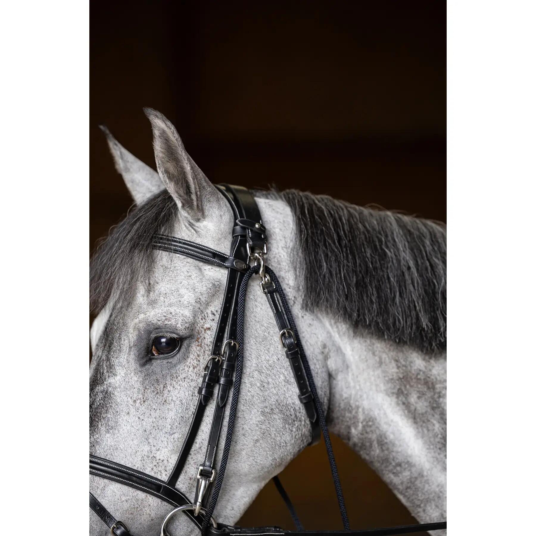 Gogue voor paard HFI 2/7
