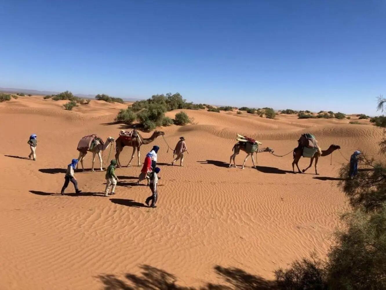 DECATHLON TRAVEL picture