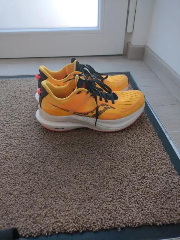 Tussen Particulieren - Saucony Tempus 42 2/4