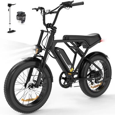 Bici elettrica Fat Bike 20" x 4.0 250W batteria 36V 12Ah