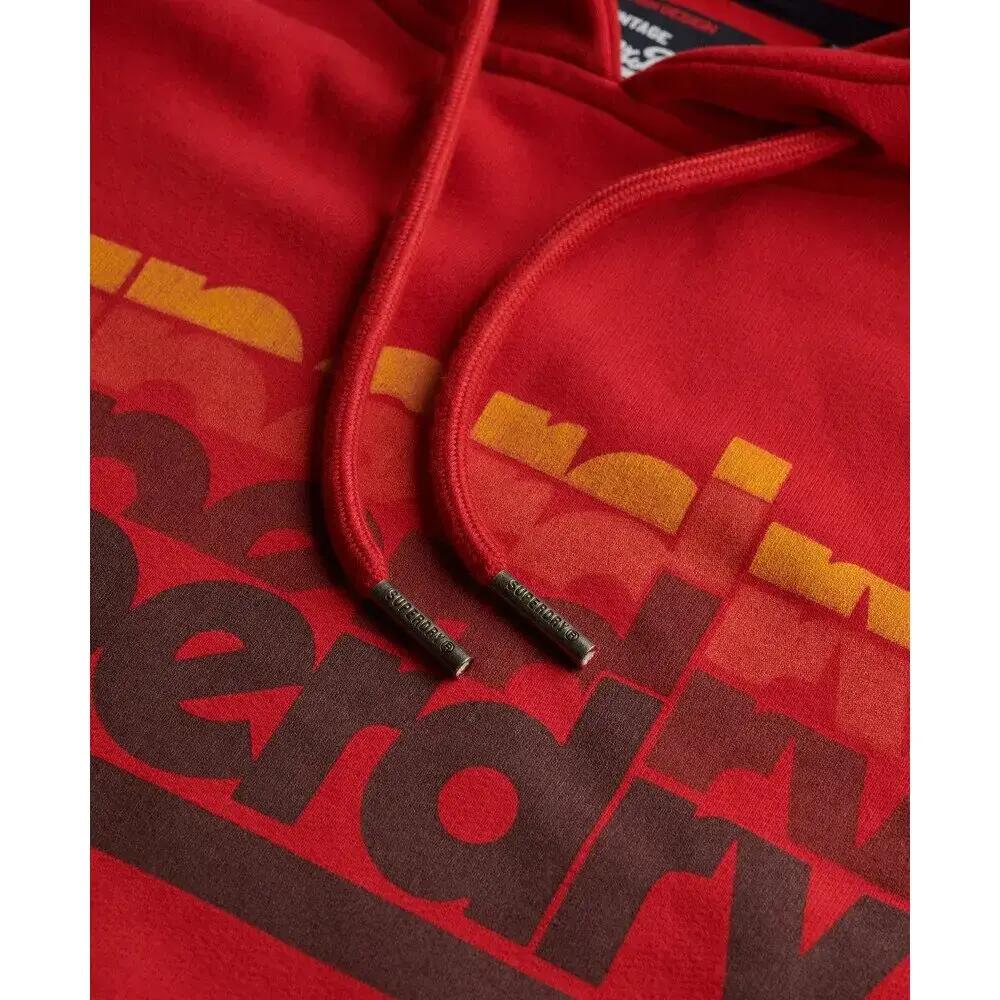 Sweatshirt à capuche Superdry Stacked 6/6