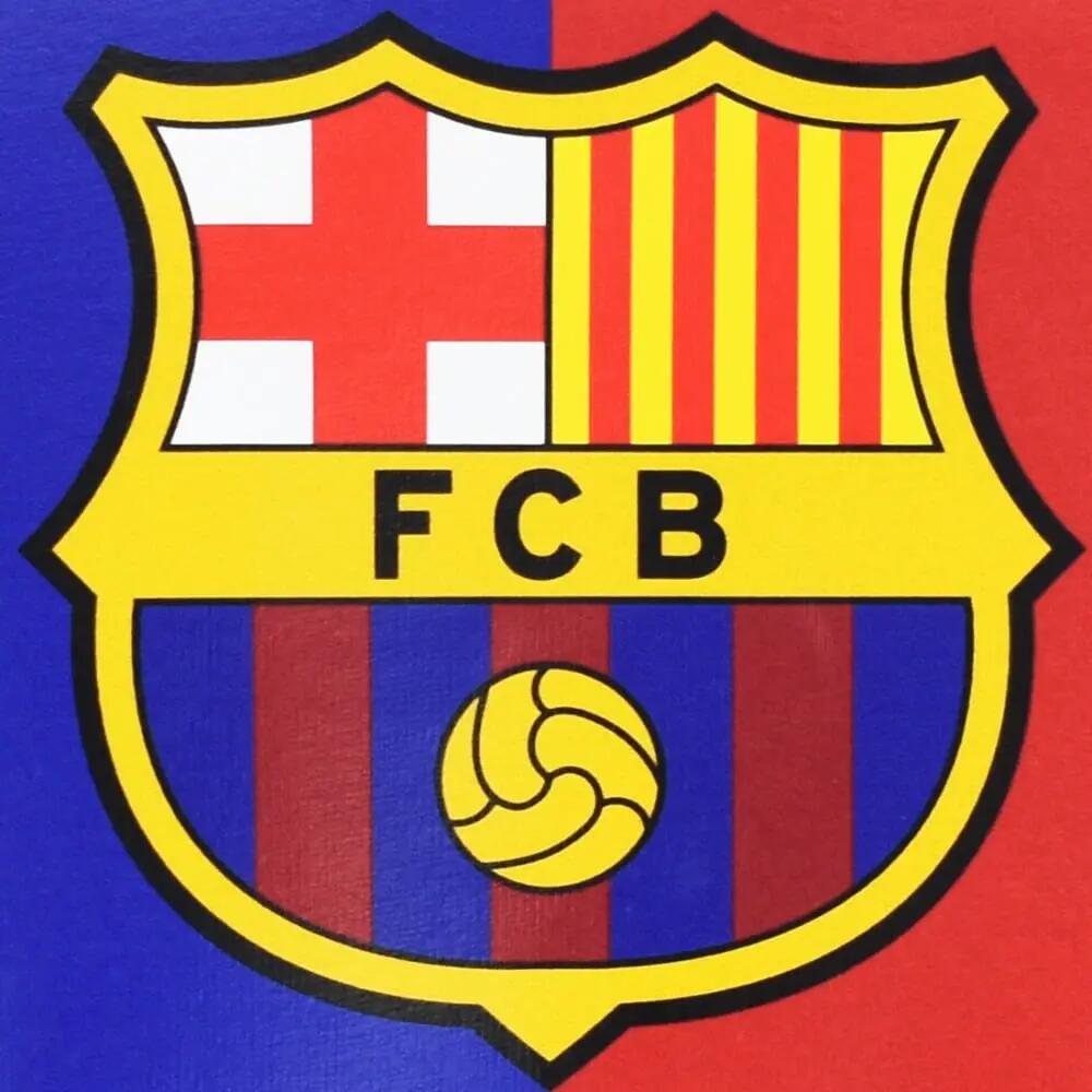 Barcelona póló gyerek szürke Camp Nou 4/4