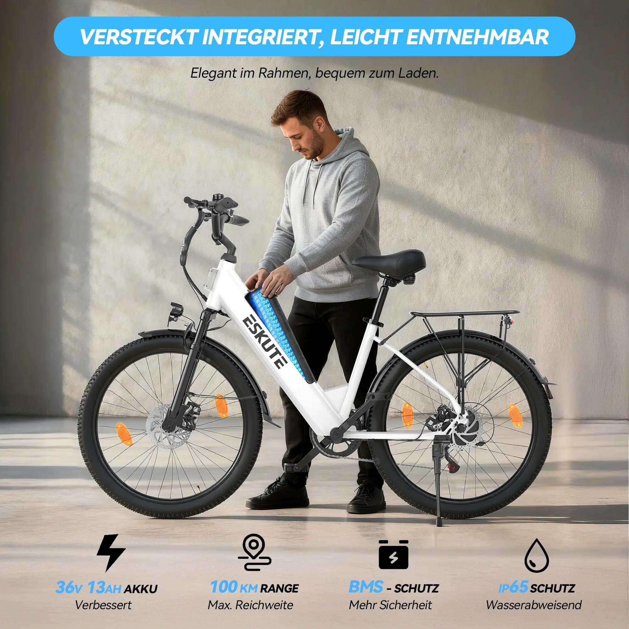 Electric Bike ESKUTE C100 Plus 250W 36V 10.4Ah 25km/h 4/8