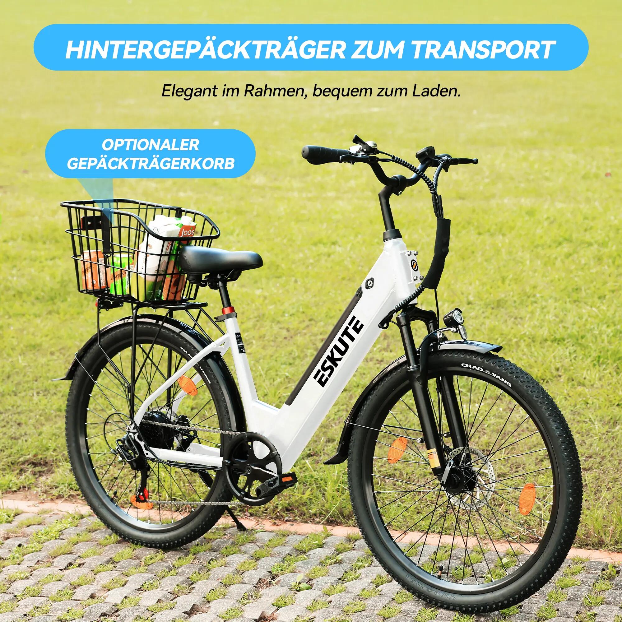 Electric Bike ESKUTE C100 Plus 250W 36V 10.4Ah 25km/h 3/8
