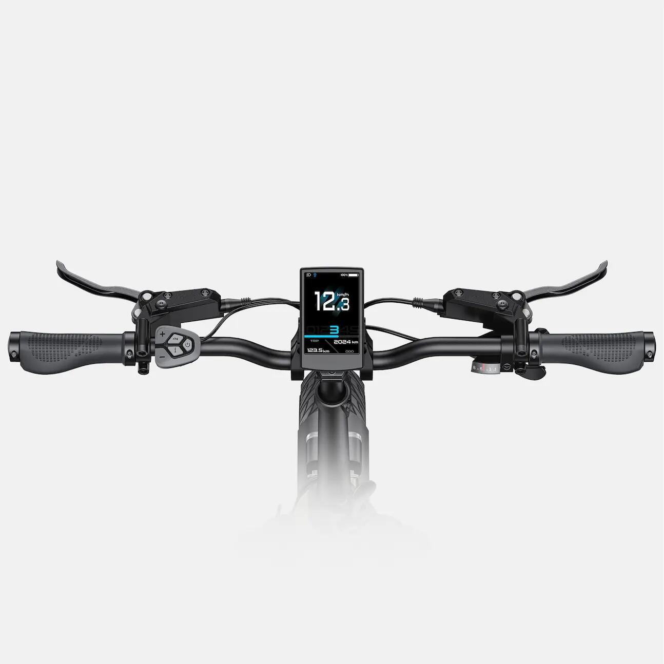 Adult e-bike ENGWE L20 3.0 PRO, IPX4 waterproof. 5/15