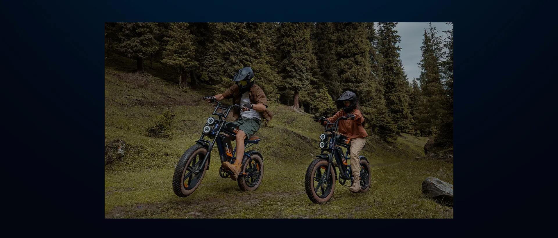 Adult e-bike ENGWE M20 dual battery, IPX5 waterproof. 10/15