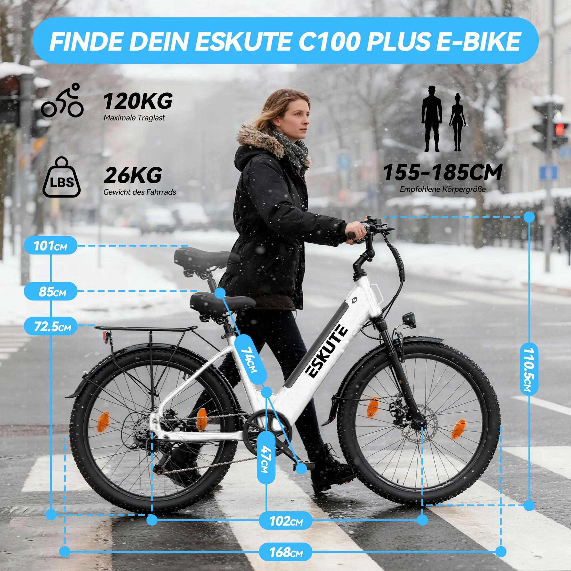 Electric Bike ESKUTE C100 Plus 250W 36V 10.4Ah 25km/h 8/8