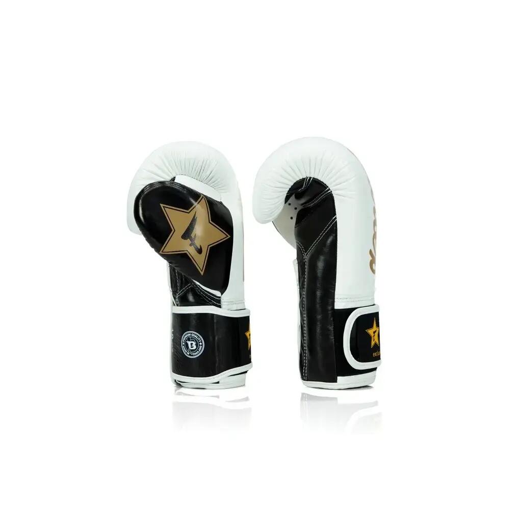 Guantoni da boxe Fairtex X Booster FXB V2 3/5