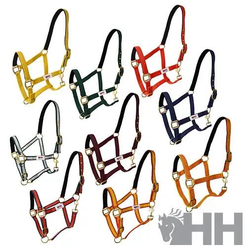 Licol per cavallo in nylon con moschettone Hispano Hipica 2/2