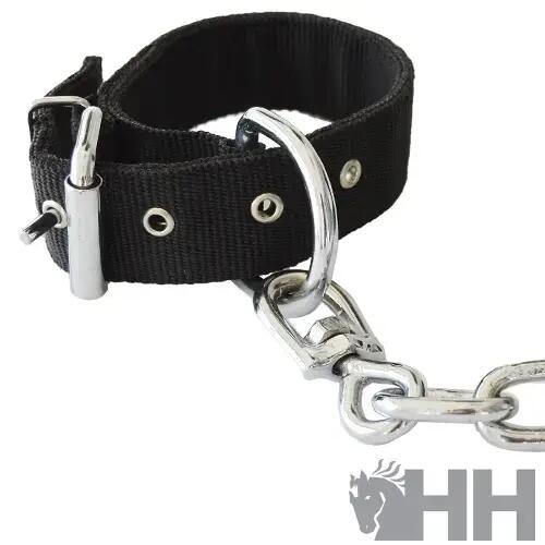 Entrave pour cheval Hispano Hipica 2/2