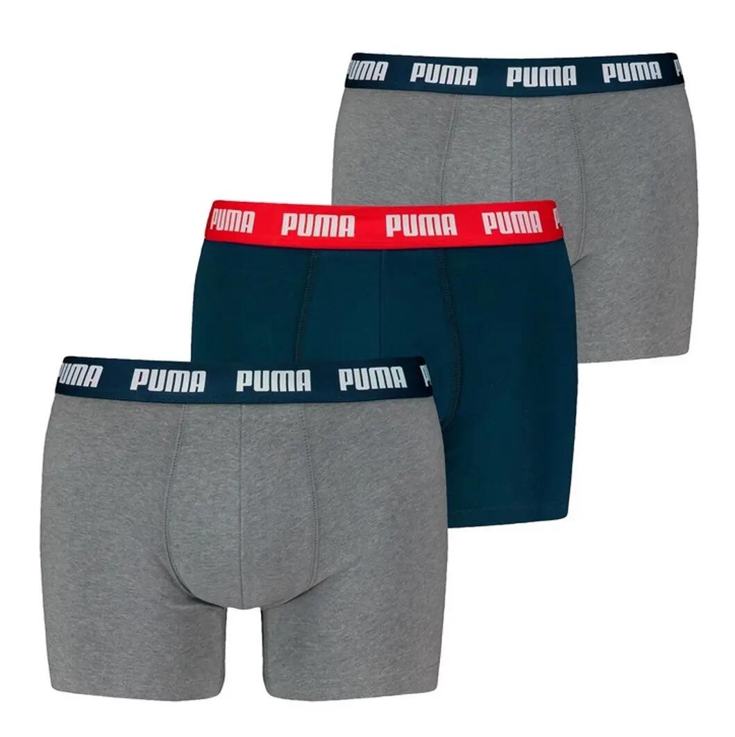 PUMA picture