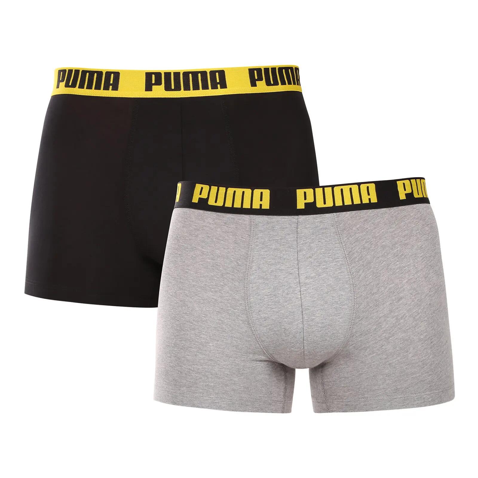 PUMA picture