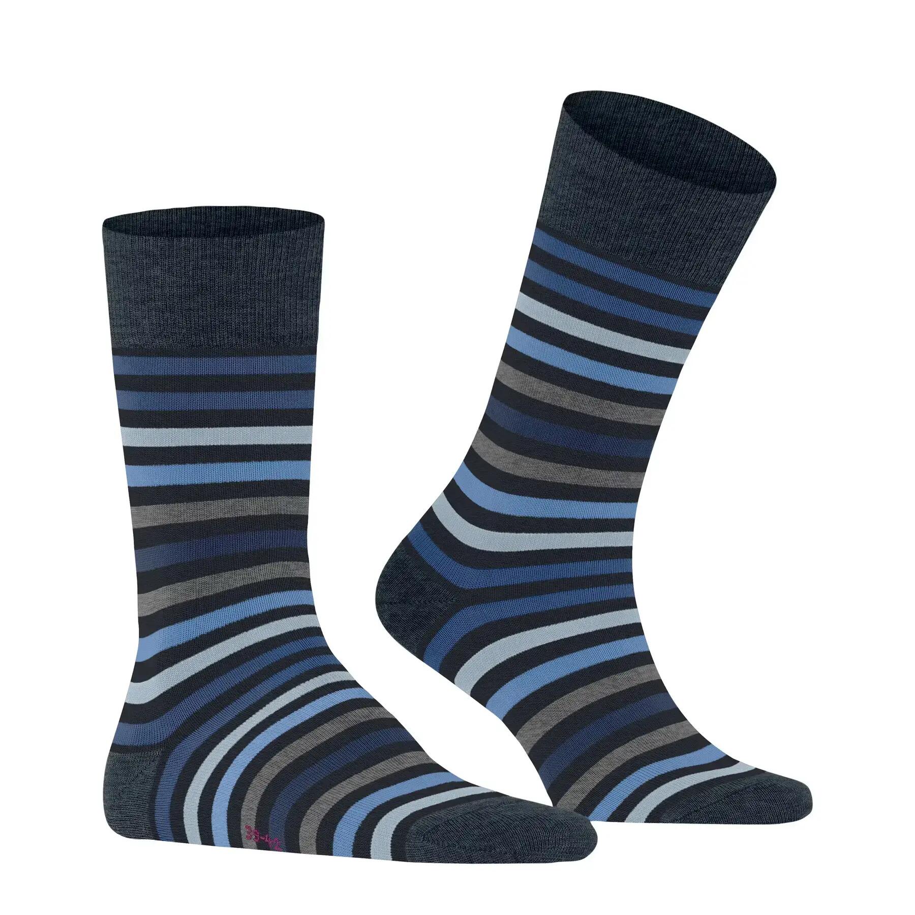 Falke Herren Socken Tinted Stripe 13279 3/8