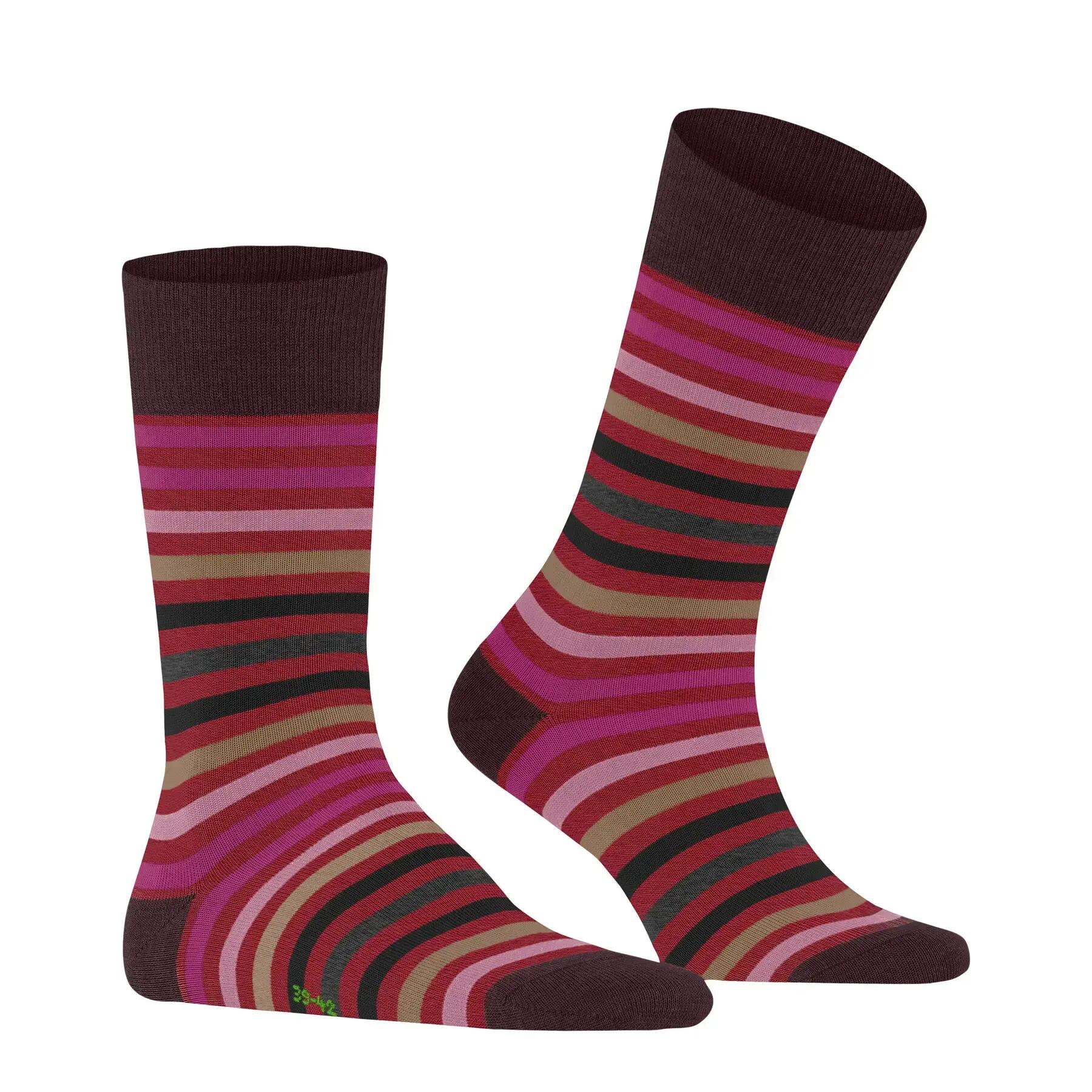 skarpety Falke Tinted Stripe 3/8