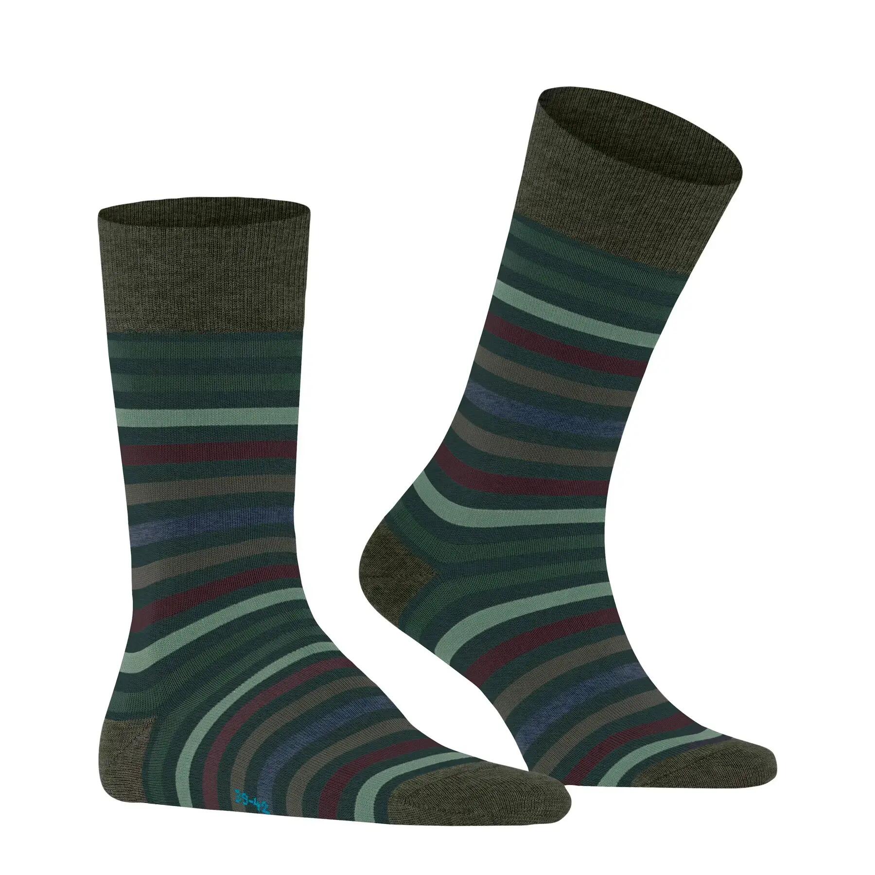 Falke Herren Socken Tinted Stripe 13279 3/8