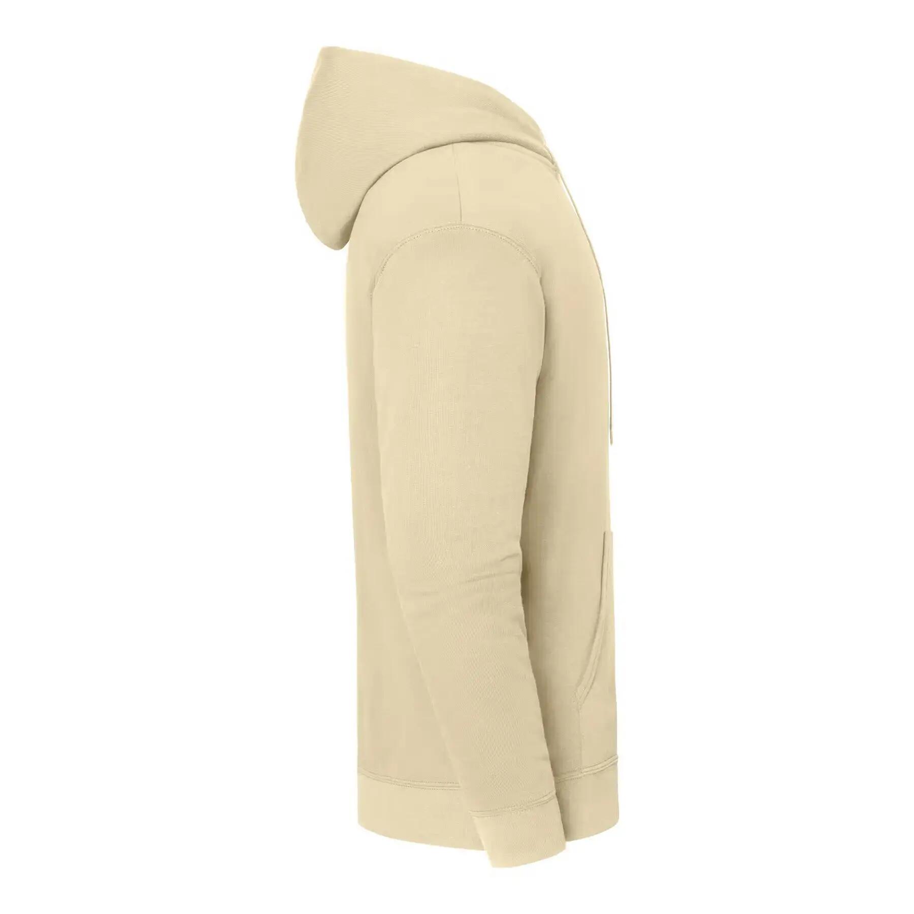 Sweatshirt à capuche Fruit of the Loom Iconic 250 3/3