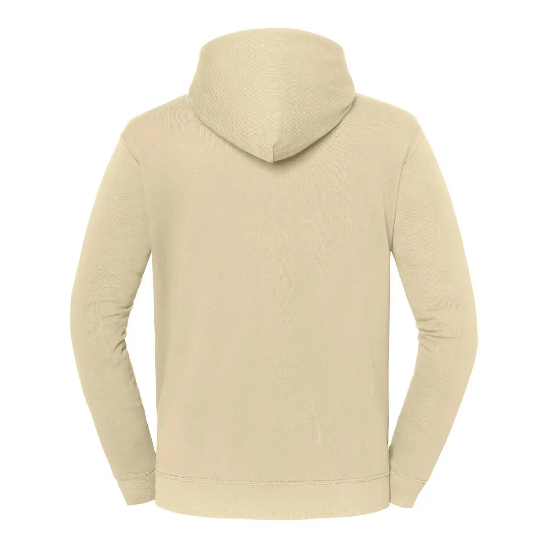 Sweatshirt à capuche Fruit of the Loom Iconic 250 2/3