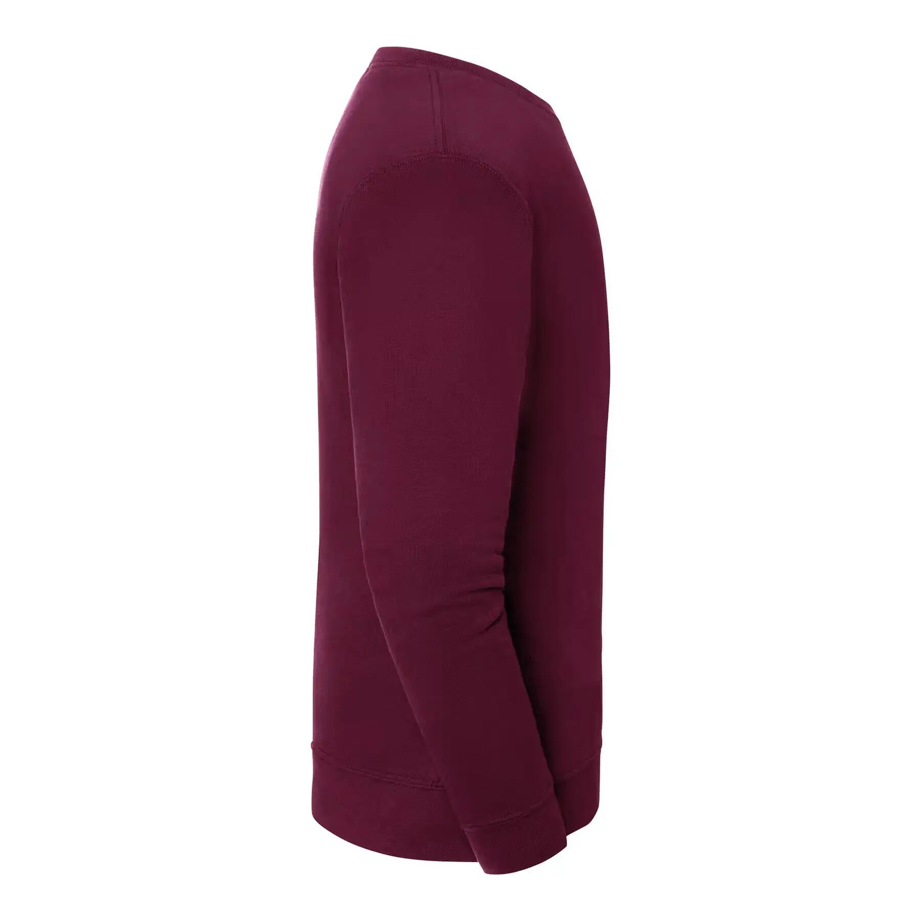 Sweatshirt Fruit of the Loom Iconic 250 3/3