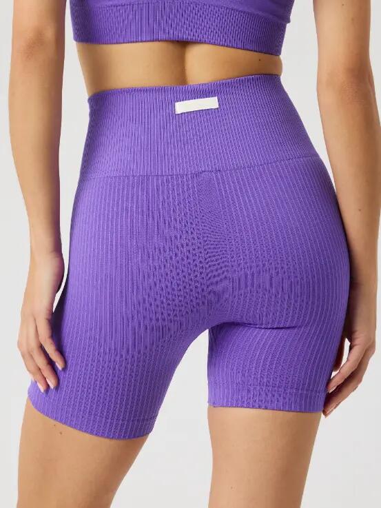 bjorn_borg STUDIO SEAMLESS RIBBED SHORTS — Simply Purple 2/4