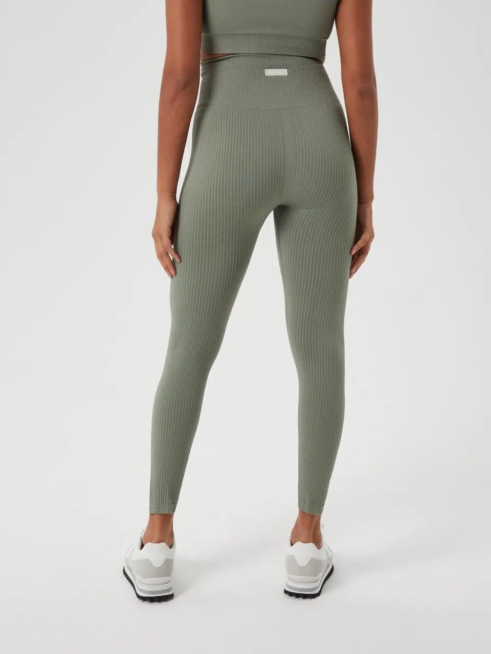 bjorn_borg STUDIO SEAMLESS RIB TIGHTS VETIVER 2/4